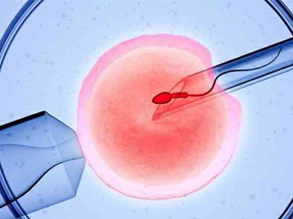 胚胎等级