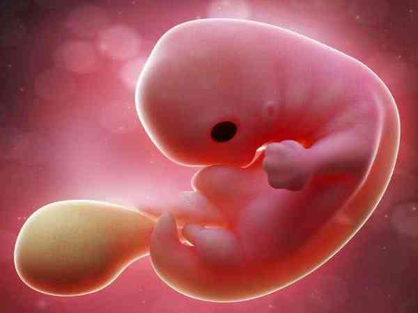 胚胎发育全过程一览,解读试管移植后着床失败的原因 