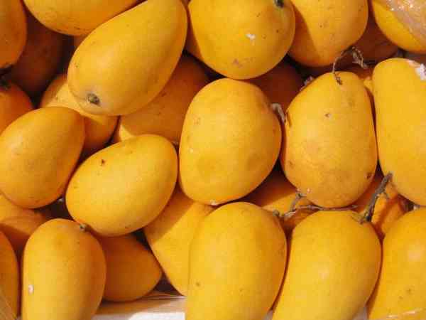 吃芒果会影响胚胎着床是谣言，移植后可放心吃
