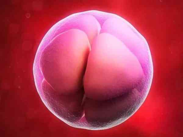移植3ca囊胚可能稍差，但质量好不能代表成功率高