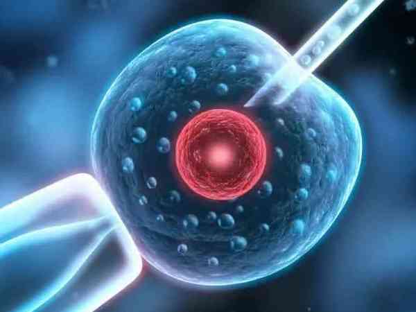虽然3cb囊胚的质量差成功率低，但移植成功的案例并不少