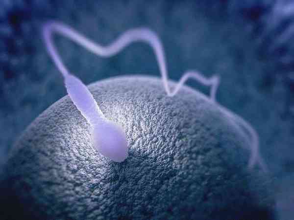 一文说清什么是XY精子分离术，和三代试管在操作上有区别