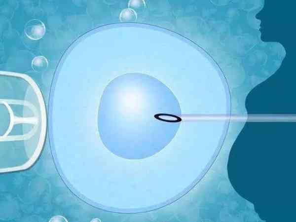 只有了解7c4胚胎怎么样，才能知晓移植后能否成功