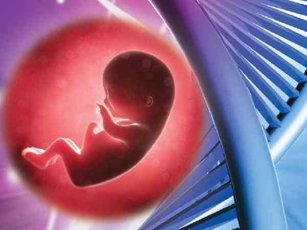 是否优质成功率高，决定了10细胞2级胚生的宝宝健不健康