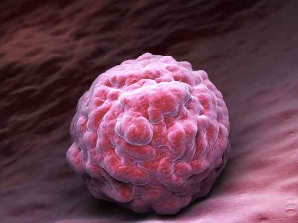 移植9细胞2级胚是否容易着床，还得看质量及成功率
