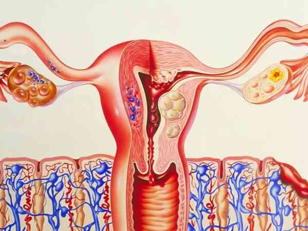 贝依5大副作用汇总，子宫内膜变薄真与其无关