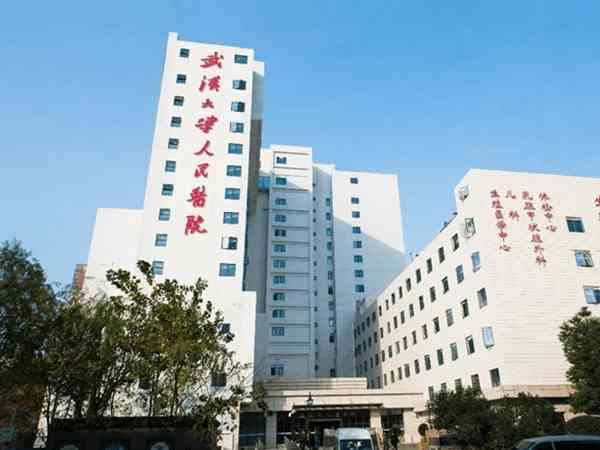 2024武汉大学人民医院试管婴儿费用明细表，预算3万也足够