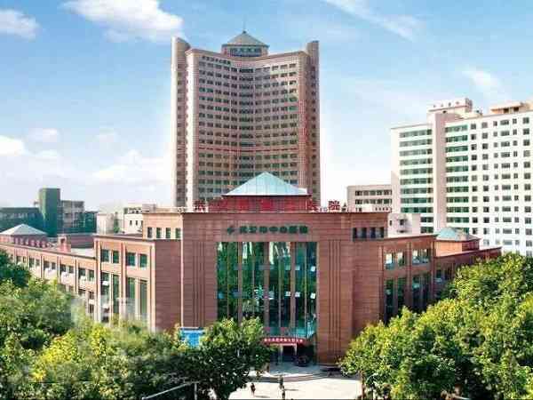 武汉市中心医院试管婴儿费用清单，2024助孕花费预算公布