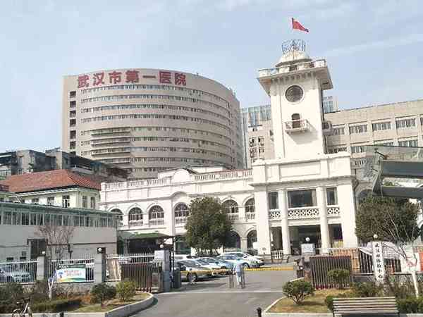 2024武汉市第一医院试管婴儿费用明细表，预算6万也足够