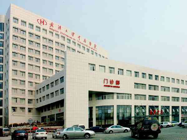 2024武汉中南医院试管婴儿成功率预估，看完便知技术怎么样