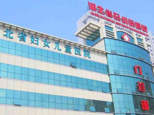 湖北省妇幼保健院试管婴儿成功率预估，2024助孕案例分享