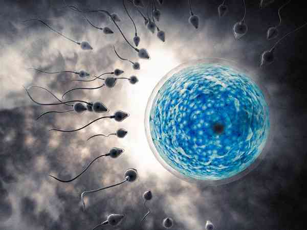 取卵24个配成优胚急不得，能否立马移植因人而异