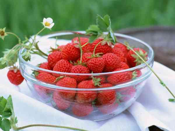 取卵后吃草莓不得随心所欲，过量小心适得其反