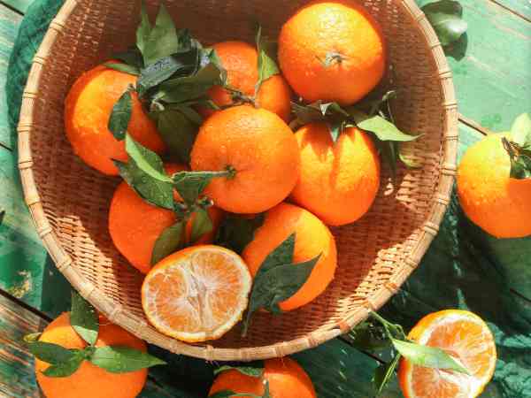 取卵后一天吃几个橘子要了解，超量食用当心身体受不住