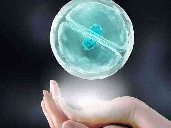 做试管同时放2个胚胎不容易，想怀双胎得满足3个条件