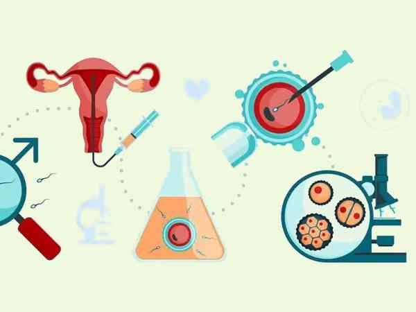 10个基础卵泡降调后仅4个别急，试管成功怀孕概率依然可观