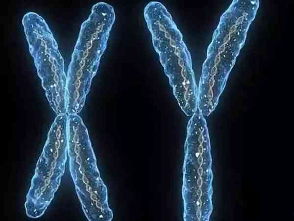 染色体异常有4点原因，是男方还是女方问题一目了然
