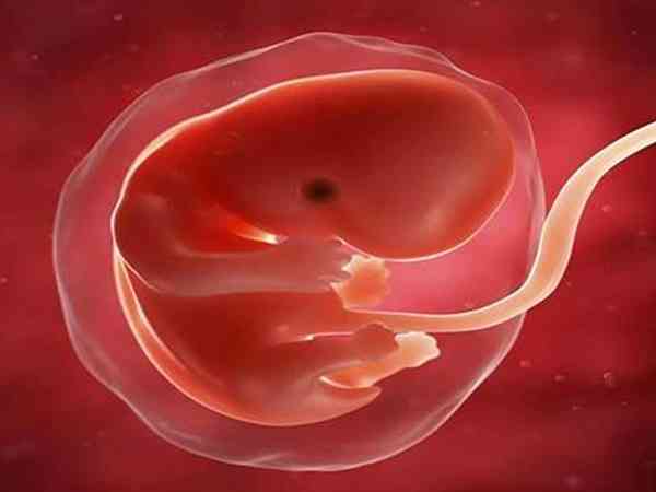 4aa和4bb胚胎有2点区别，看完质量和成功率便知哪个好