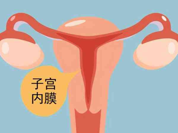 @子宫内膜异位症人群，这份2024上海试管婴儿医院大全请收下