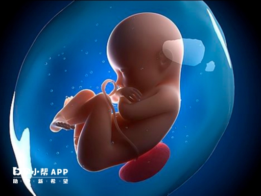 鲜胚移植一般在6-8天测出