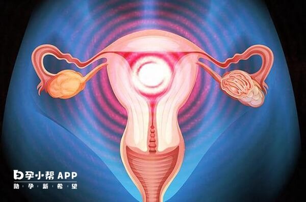 停经女性能供卵试管吗？满足4个条件申请借卵好孕翻倍！