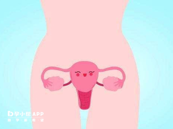 移植囊胚能降低宫外孕风险