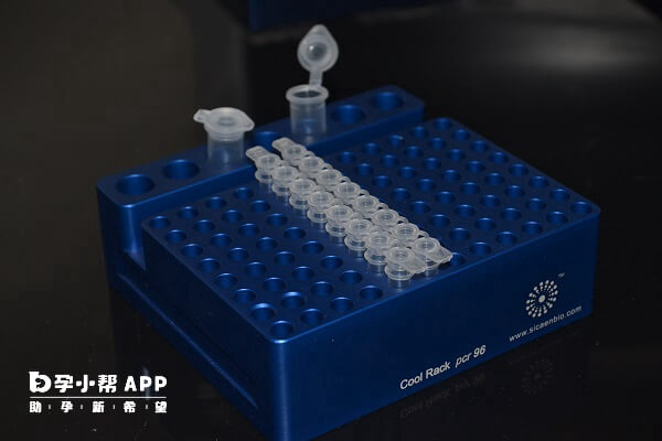 PCR工作台