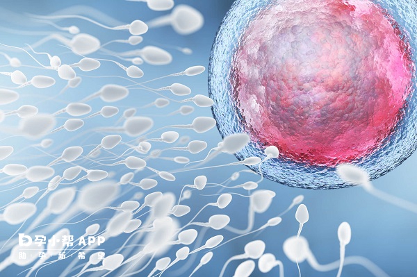 卵细胞可以阻止精子进入
