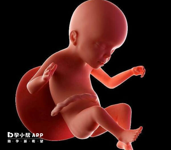 孕妇服用影响胎儿