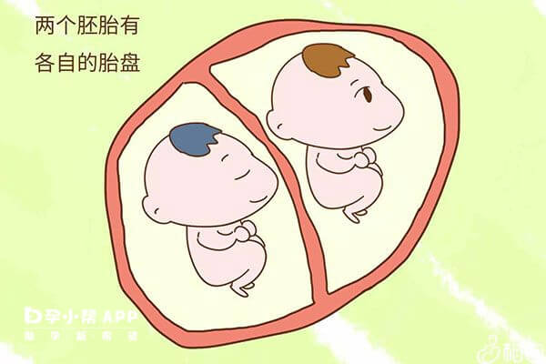龙凤胎怀孕几率低于双胞胎