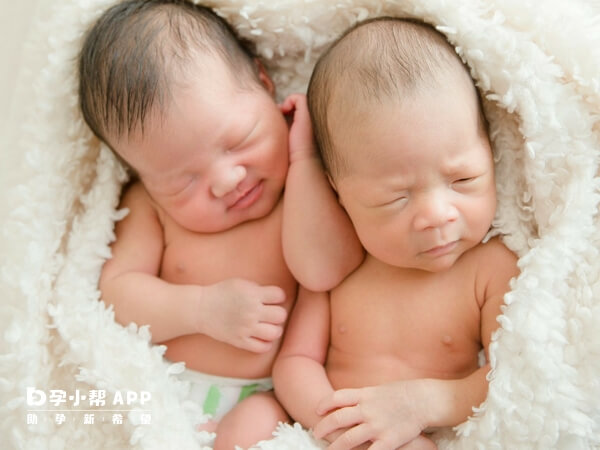龙凤胎是双胞胎的一个特例