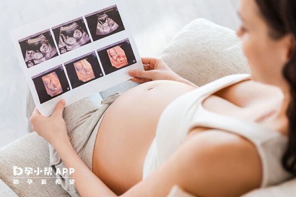 孕妇检查肾功能挂产科
