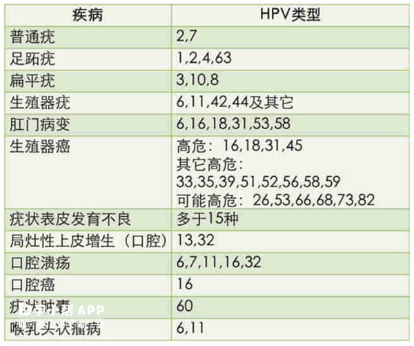 HPV类型有多种