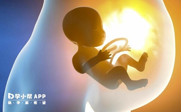 辐射极易造成胎儿畸形或早产