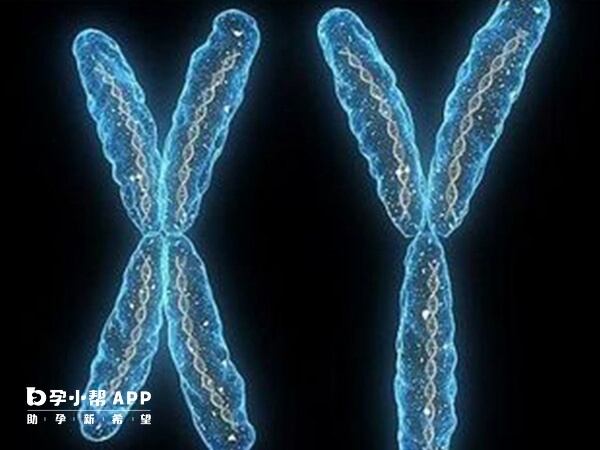 染色体易位有几率生出正常小孩