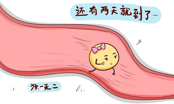 排卵期子宫内膜厚度8-10mm适合怀孕