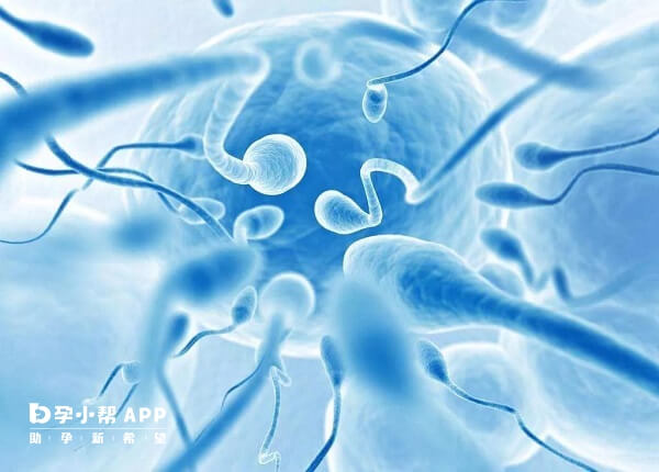 精子活力检查要进行精液量和酸碱度检查等