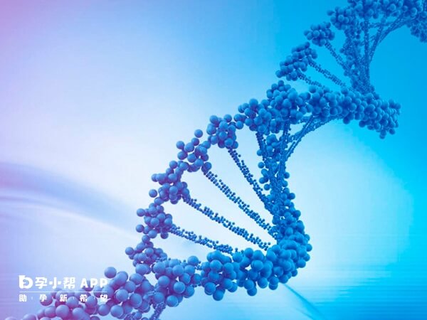 精子DNA够完整才能保证优生优育