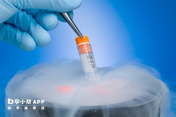 冻胚移植前需要检查激素六项