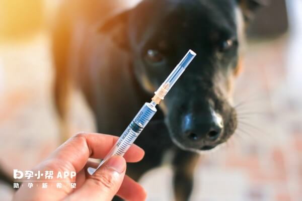 新冠疫苗和狂犬疫苗接种间隔应大于14天