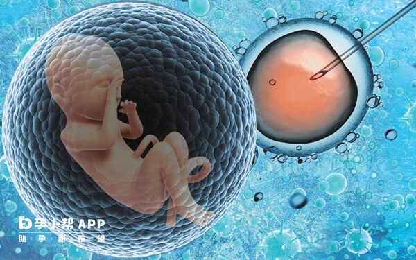 三代试管可以选择胎儿性别
