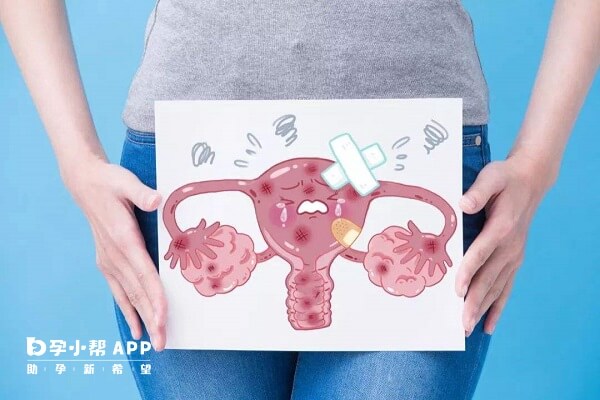 卵巢早衰的备孕女性可服用勃锐精