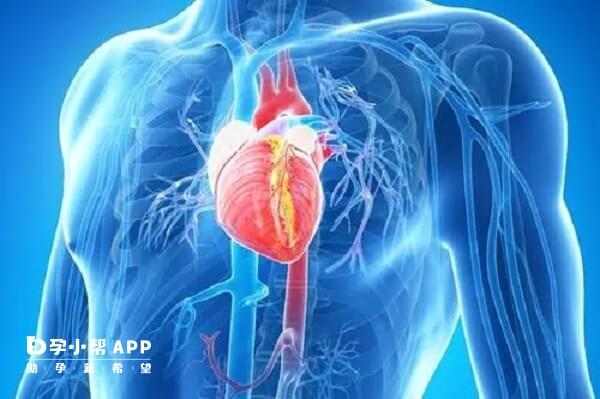 辅酶Q10能改善心脏功能