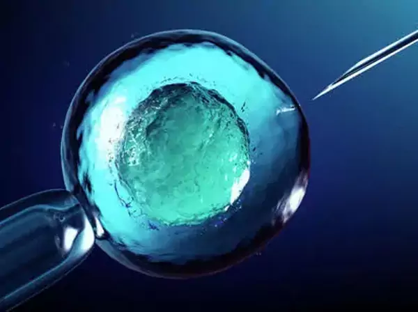 在胚胎植入前进行筛查