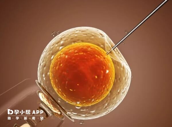 5ac囊胚并不是优质胚胎