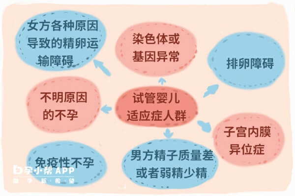 第三代试管婴儿费用(第三代试管婴儿费用大概要多少钱)-第1张图片-鲸幼网