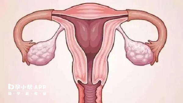 子宫内膜变薄不是使用贝依造成的