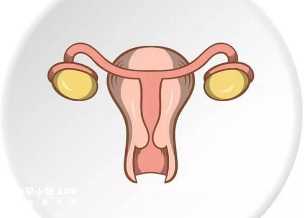 卵巢问题是产生空卵泡的原因之一