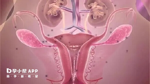过量注射果纳芬会导致卵巢过度刺激