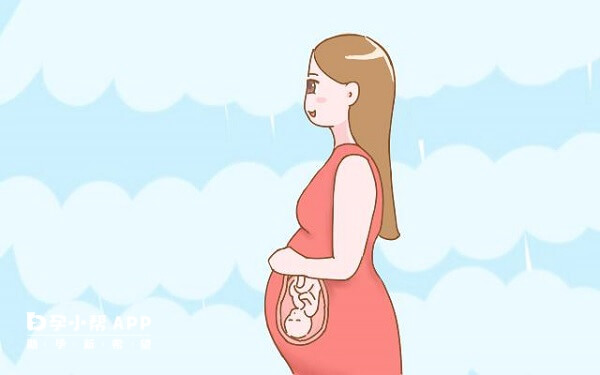 对来曲唑敏感的女性用药后怀孕机率较大